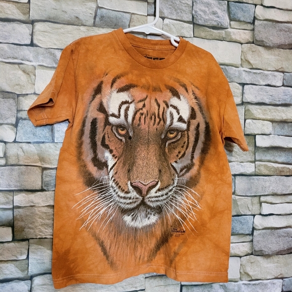 7 T shirts for boys size medium in excellent like new condition. - Picture 5 of 13